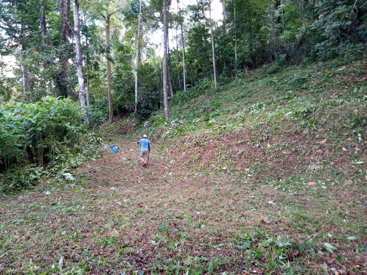 Tranquil Paradise in Portasol Gated Community, Lot C11, Portalon, Costa Rica