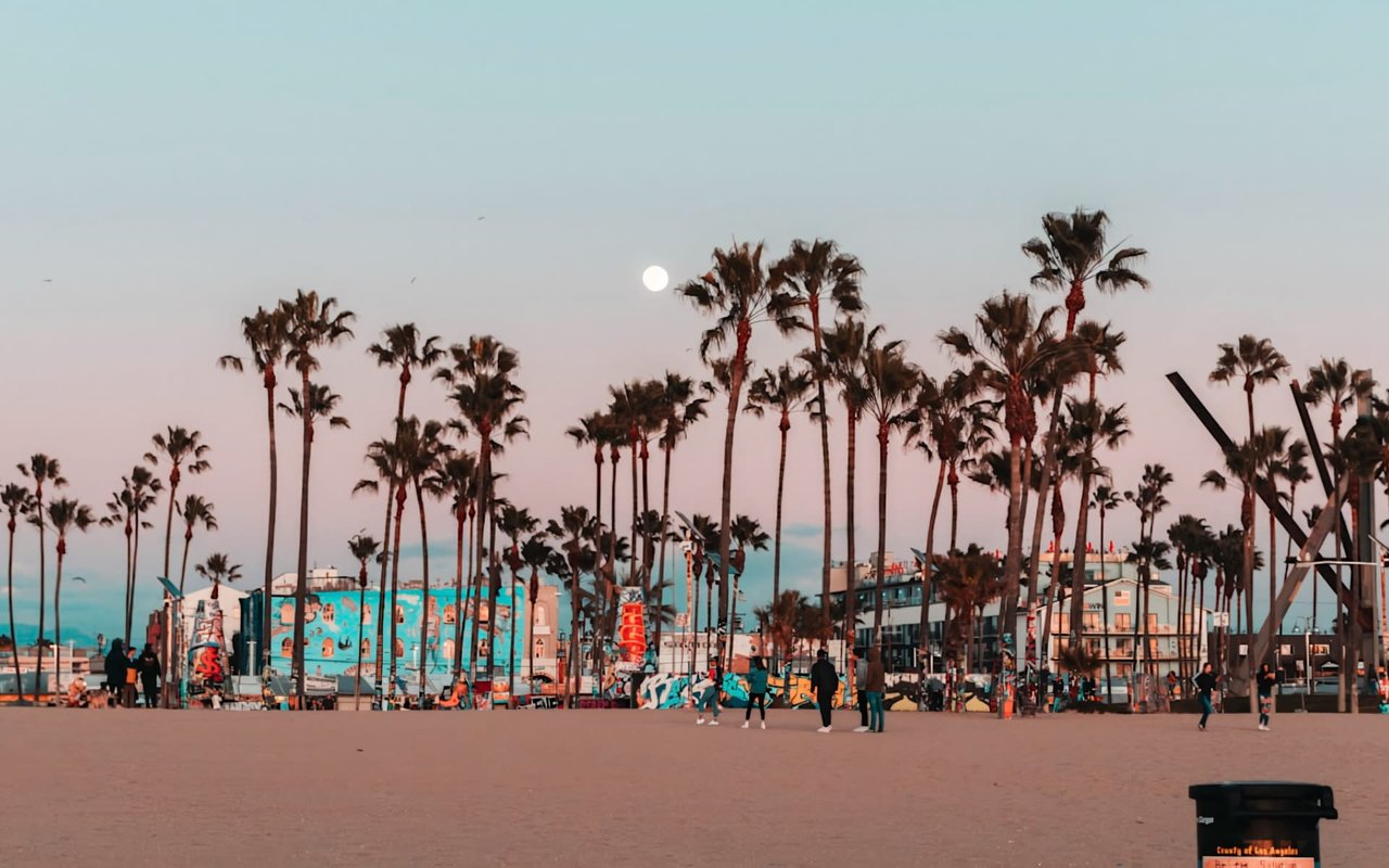 Discovering the Luxurious Essence of Santa Monica's Business Districts
