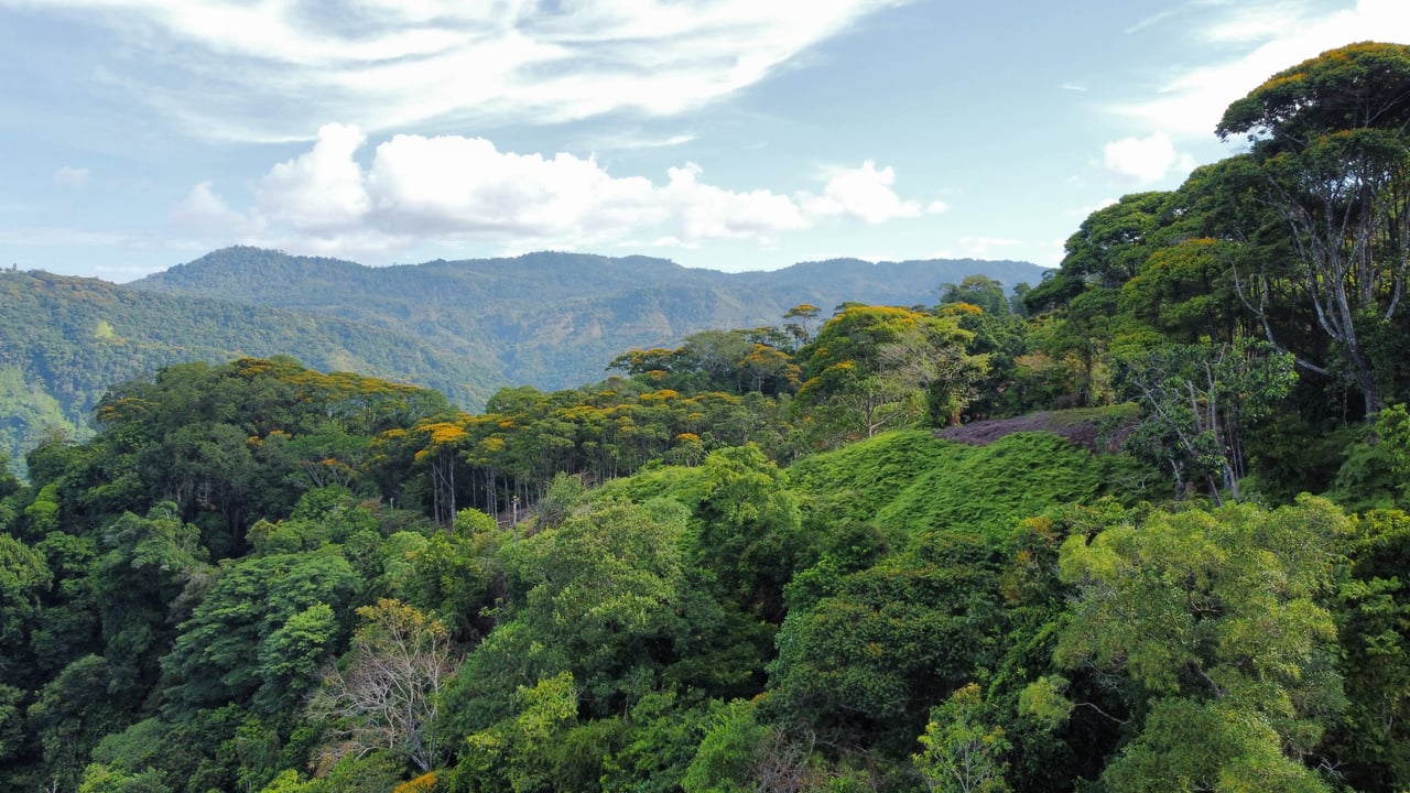 Ocean View Lot in the Exclusive Uvita Mountains. 