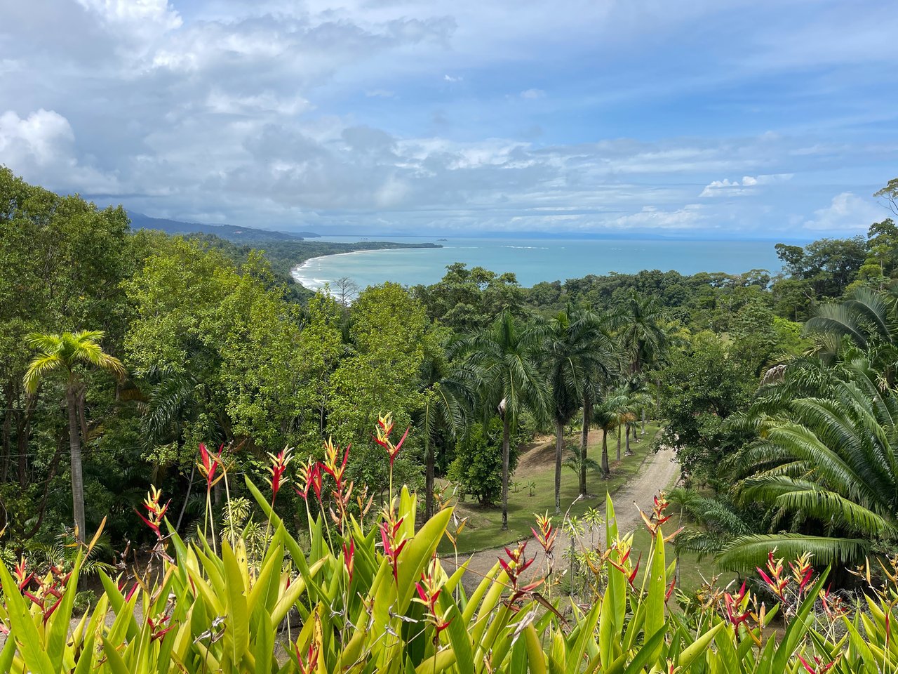 Overlooking Playa Hermosa, Uvita, Puntarenas