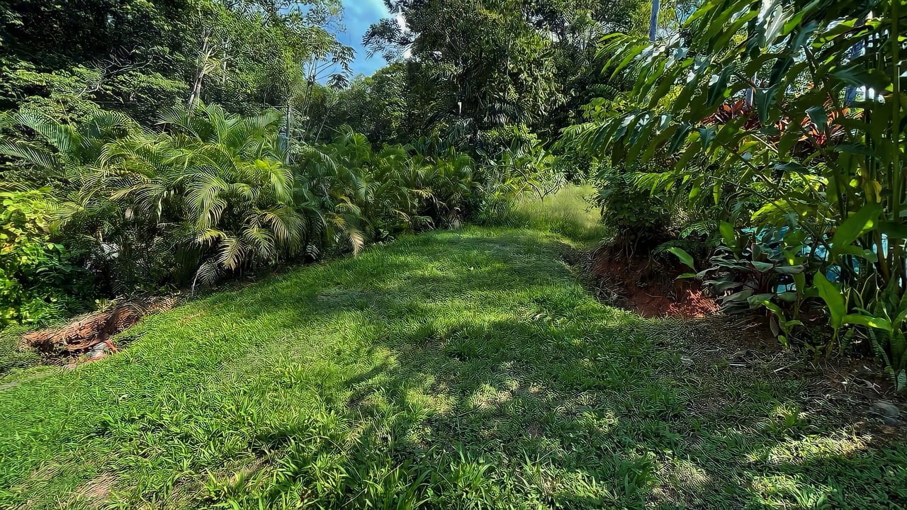 Beautiful 2-Acre Property with Container House in Cinco Ventanas