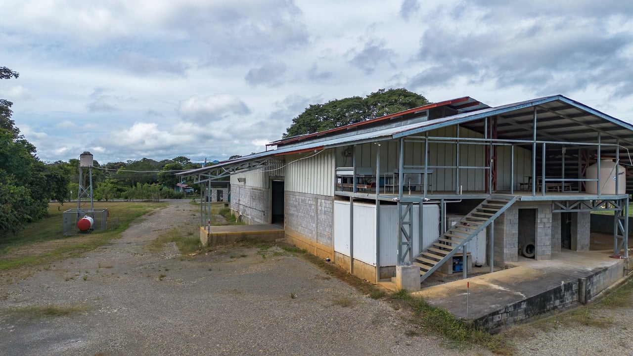 Industrial Plant for Sale in Pérez Zeledón, Costa Rica | 