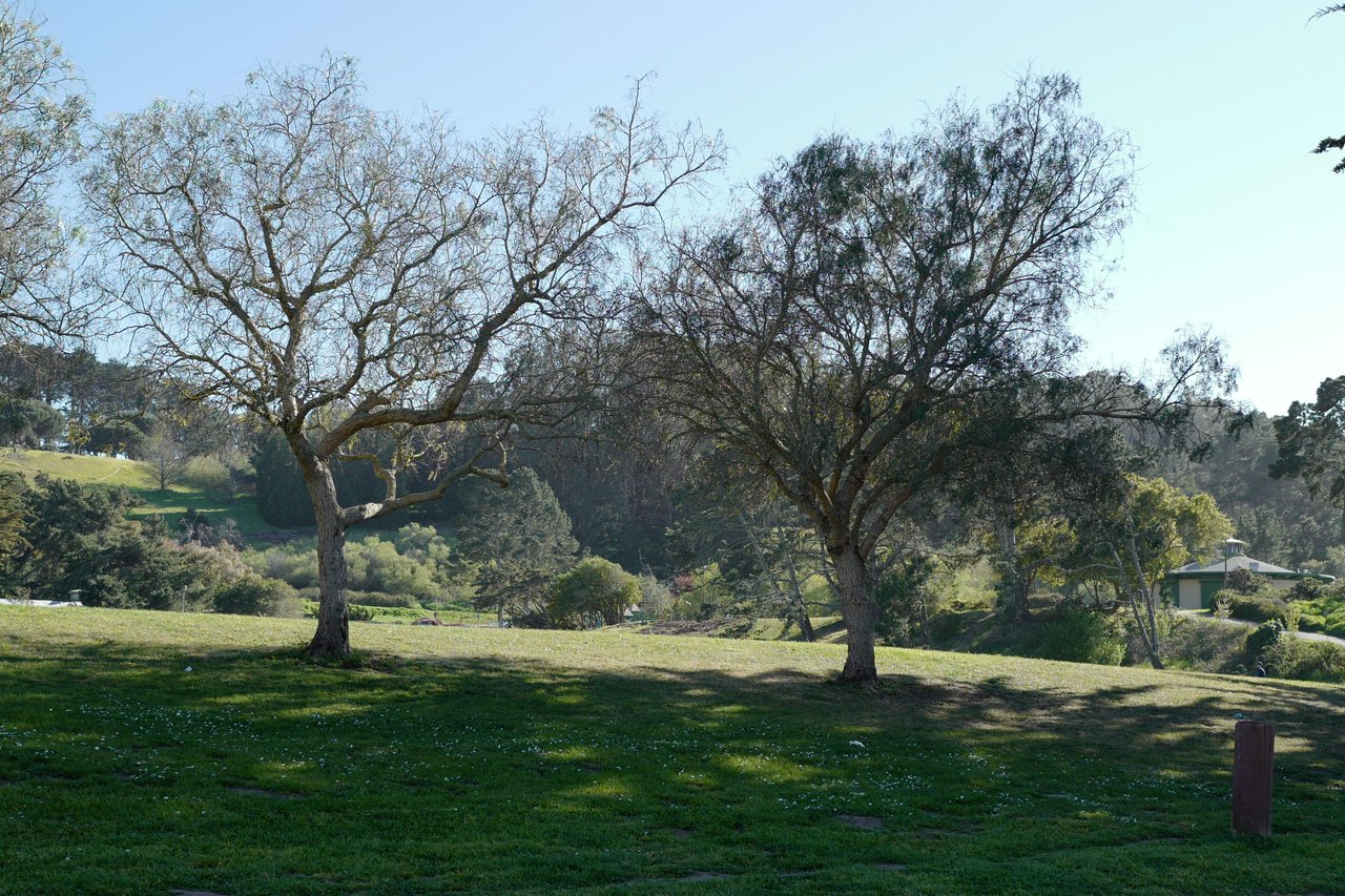 Silver Terrace/Excelsior