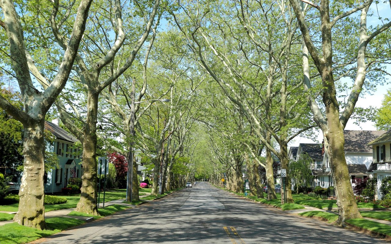 Brookhaven