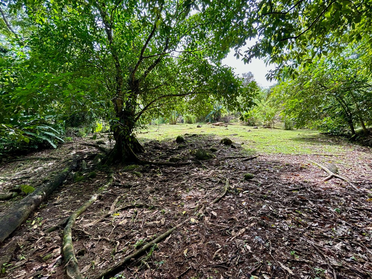 Secret Paradise Property in Altos de la Colonia