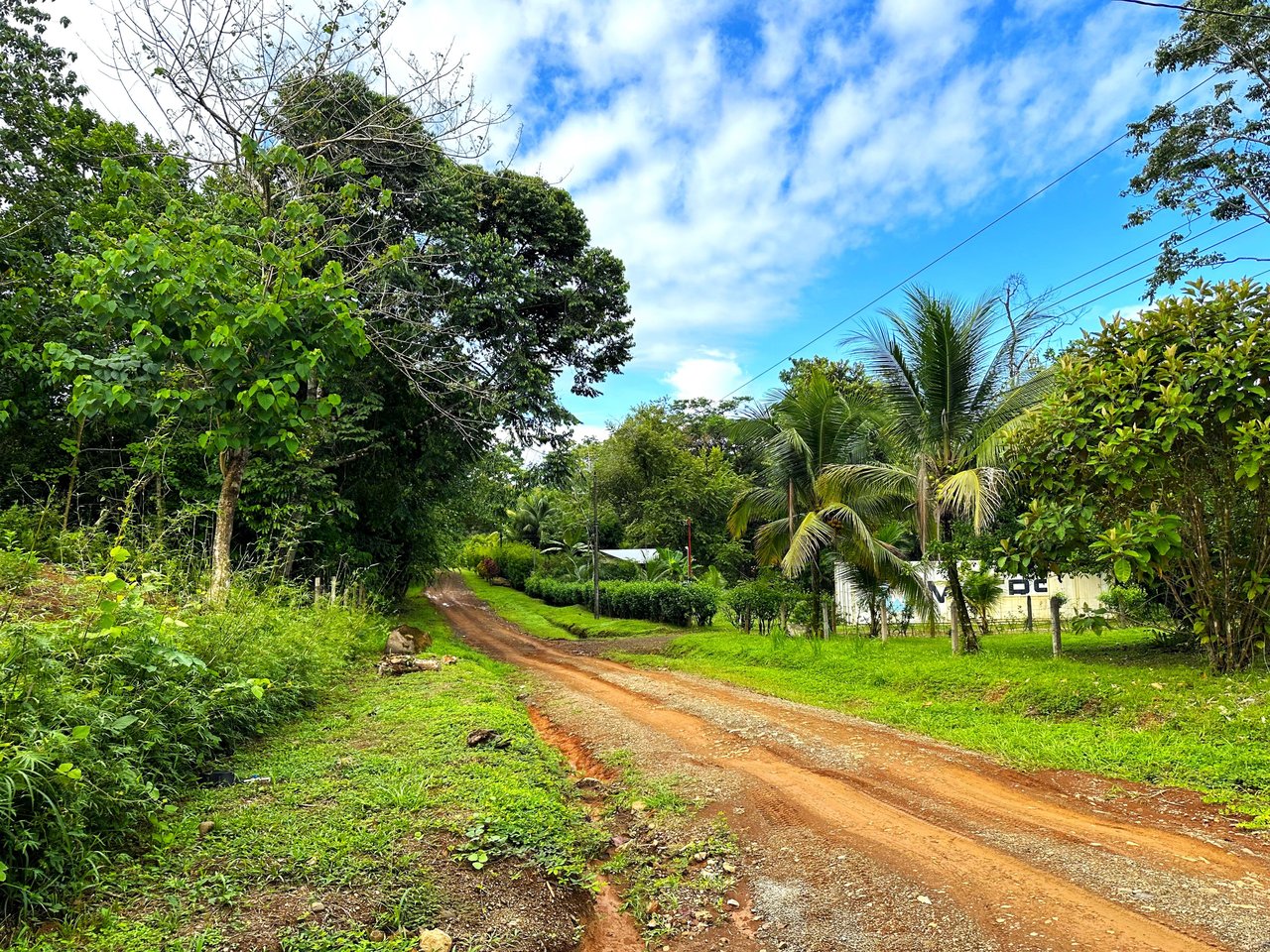 2-Bedroom, Brand New Modern House In Jungle Community On Calle Tucan.