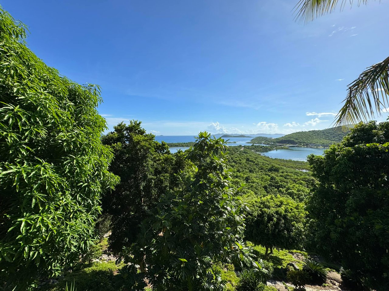 862 Little Mountain 1 Bedroom Apartment