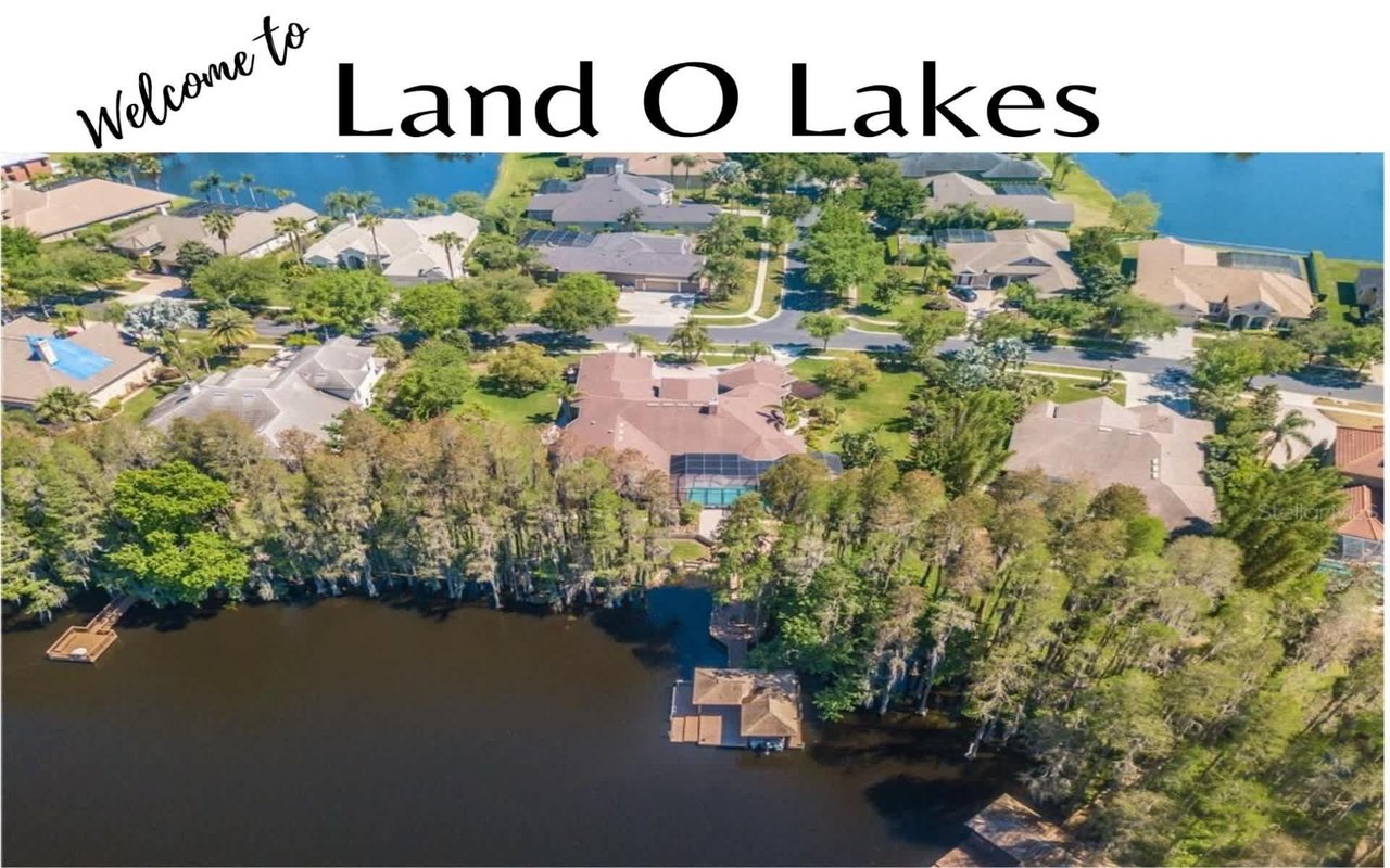 Discovering Land O' Lakes, Florida: A Hidden Gem in the Sunshine State