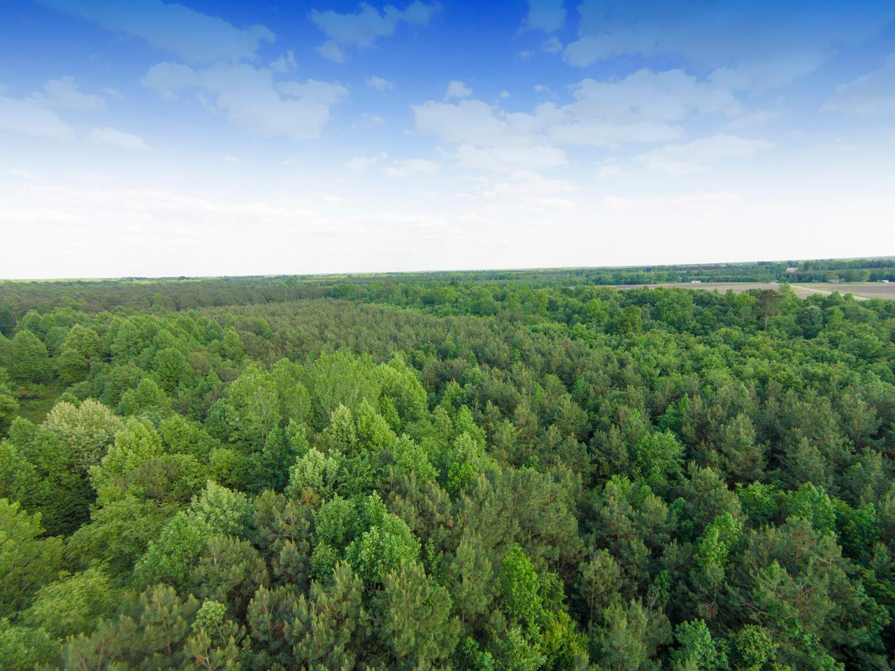 Edgecombe County, NC Land For Sale - 354 Acres