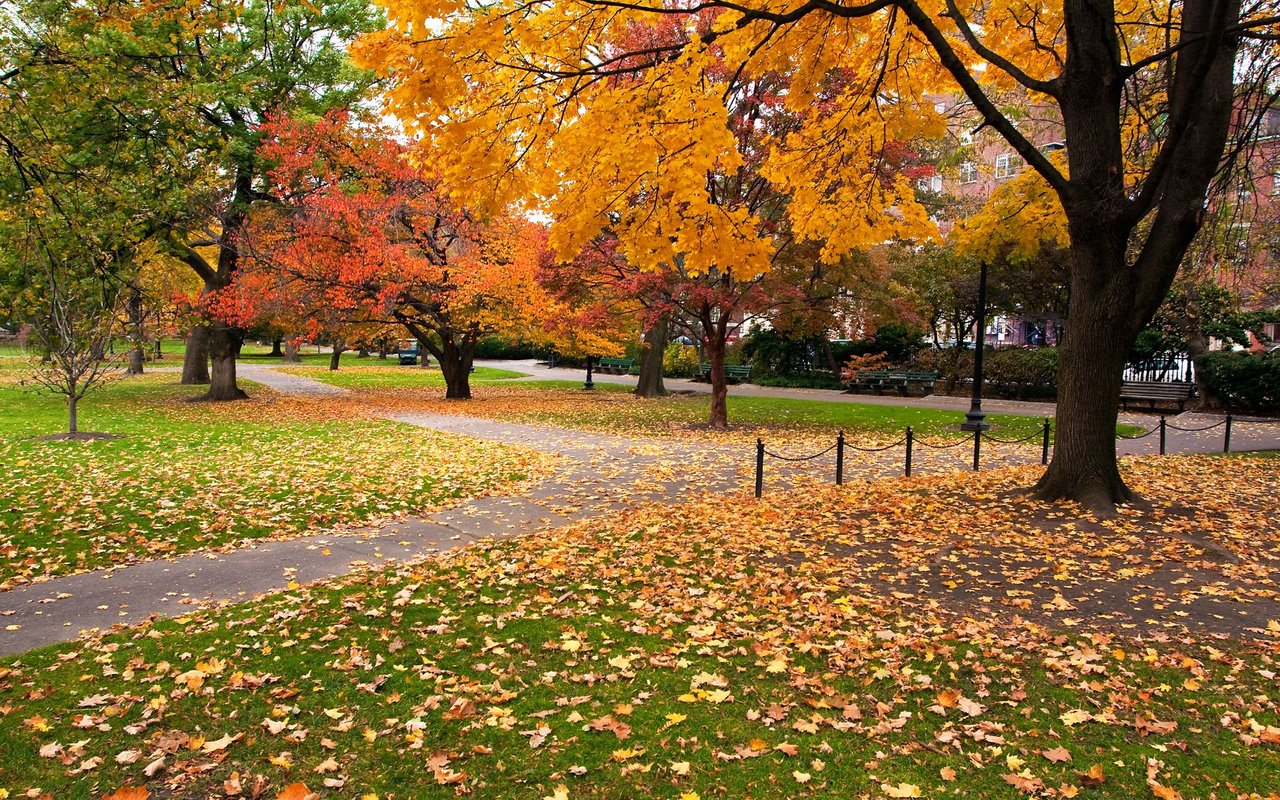 Boston