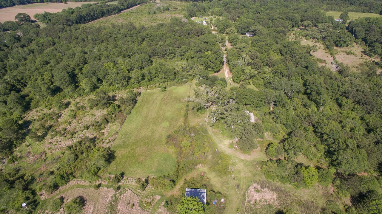 32331 Carey Smith Rd