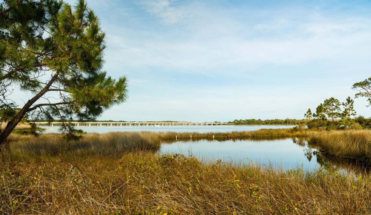 Inlet Beach