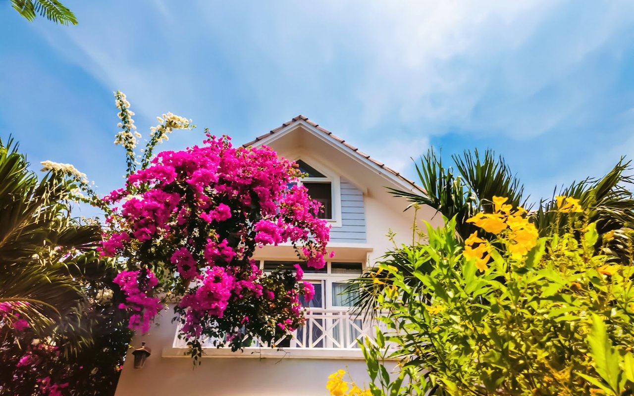 A Guide To First-Time Homebuyer Programs, Loans, and Grants