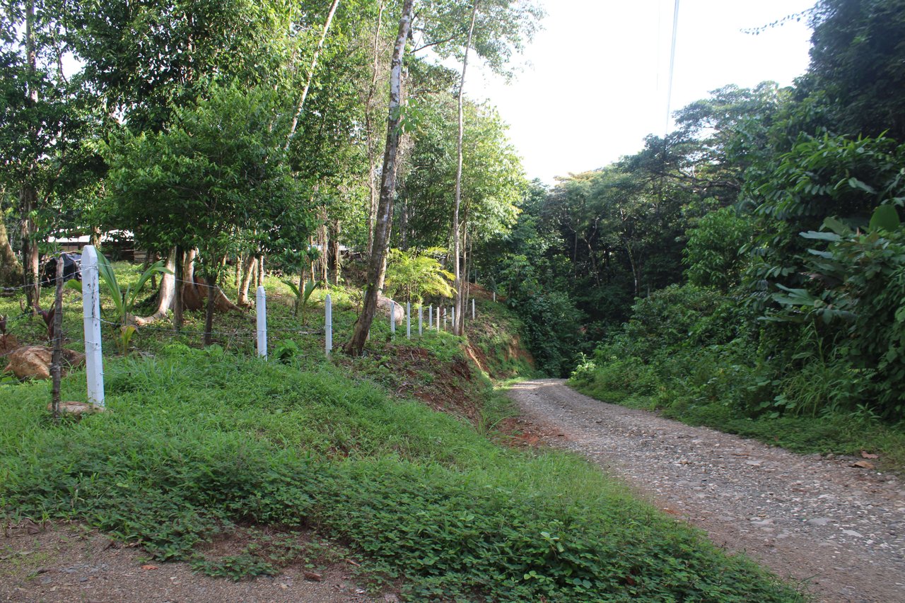 River Frontage Lot close to Uvita