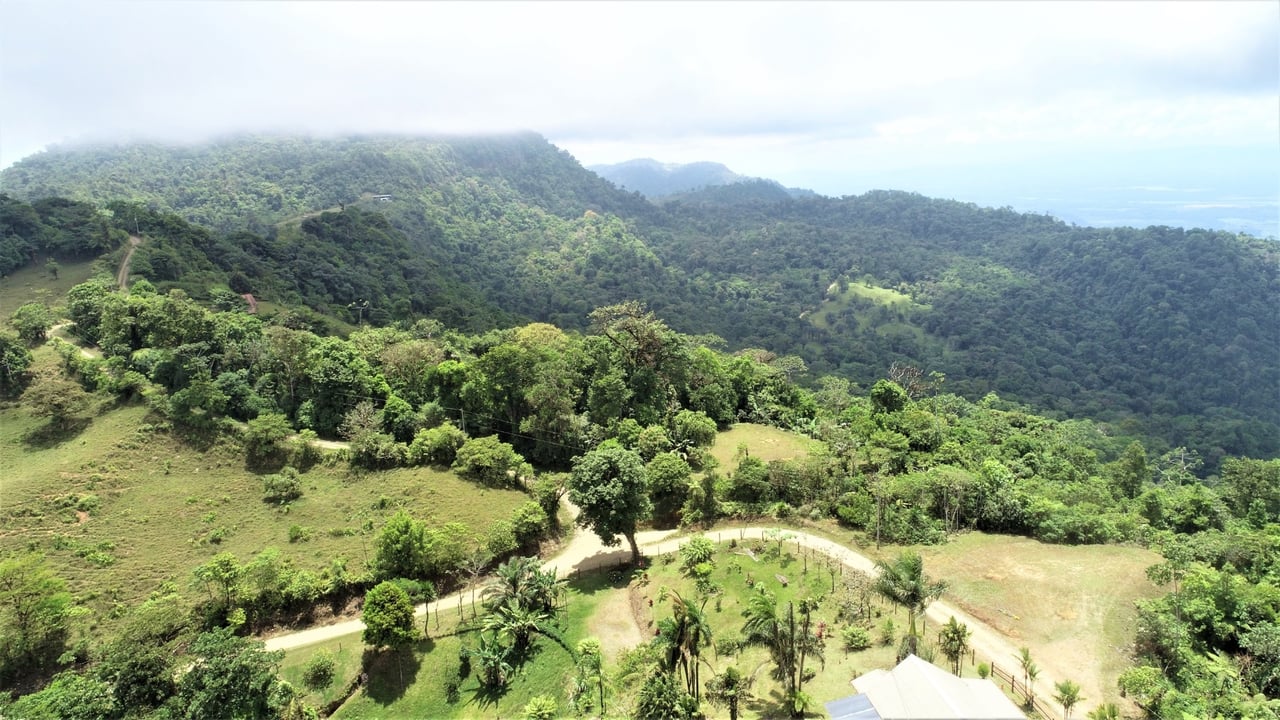 Large Development Farm, Ojochal, Puntarenas