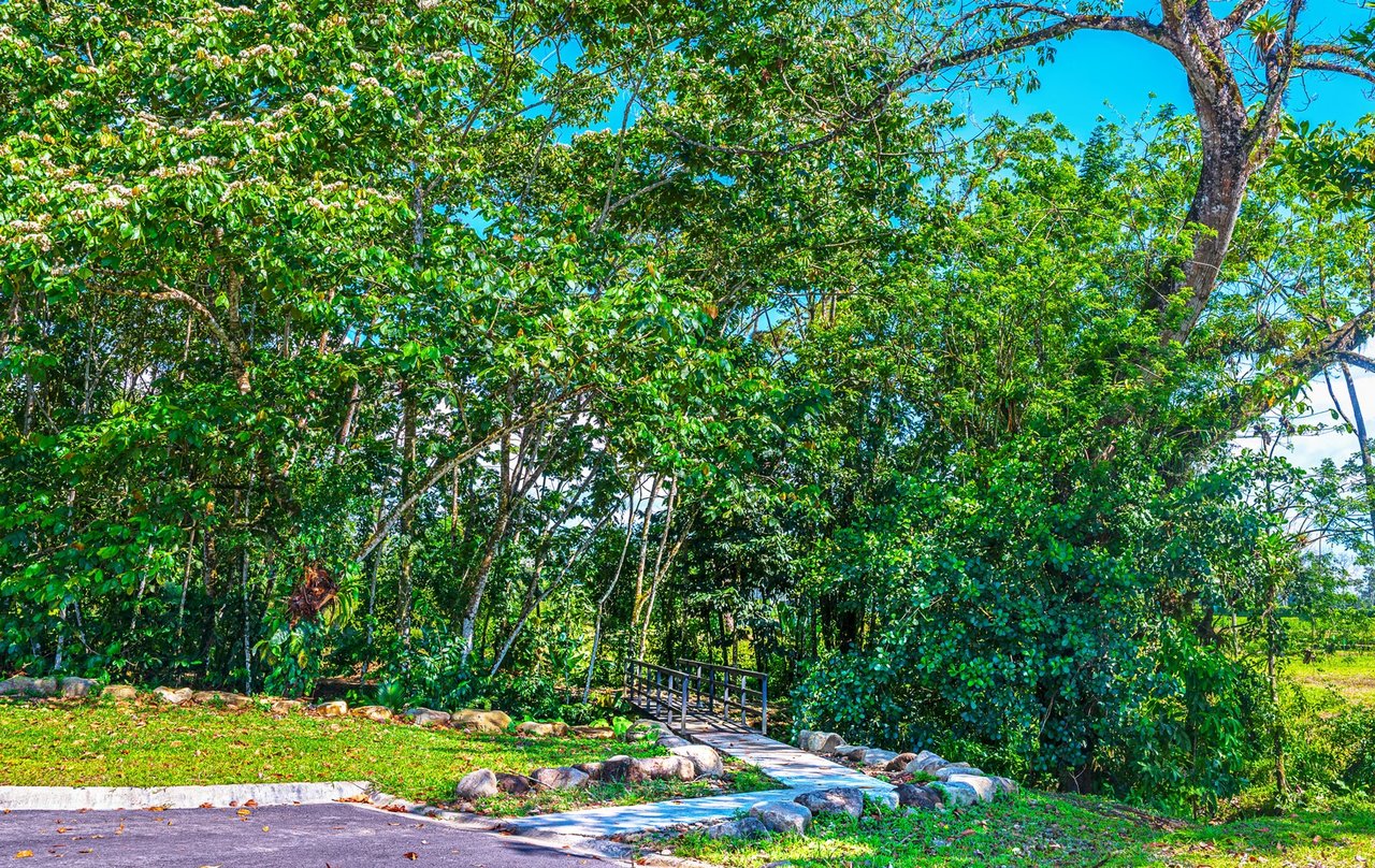 Ready To Build Lot In Gated Community, Lake Arenal, Alajuela
