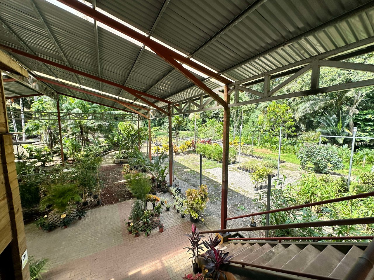 "Commercial Gem at Ojochal"