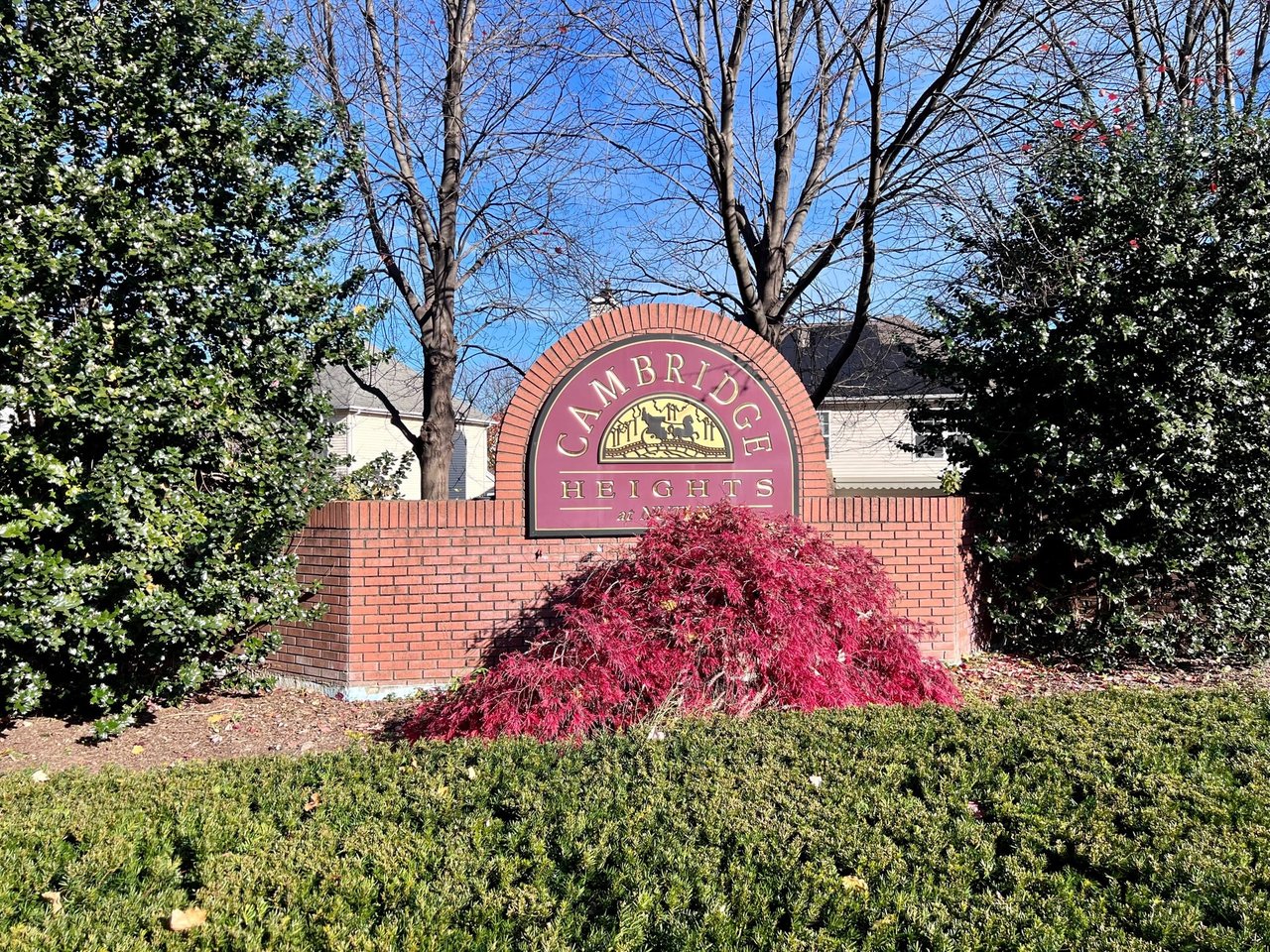 Realty Executives Elite Homes: Pioneering Townhome Sales in Cambridge Heights