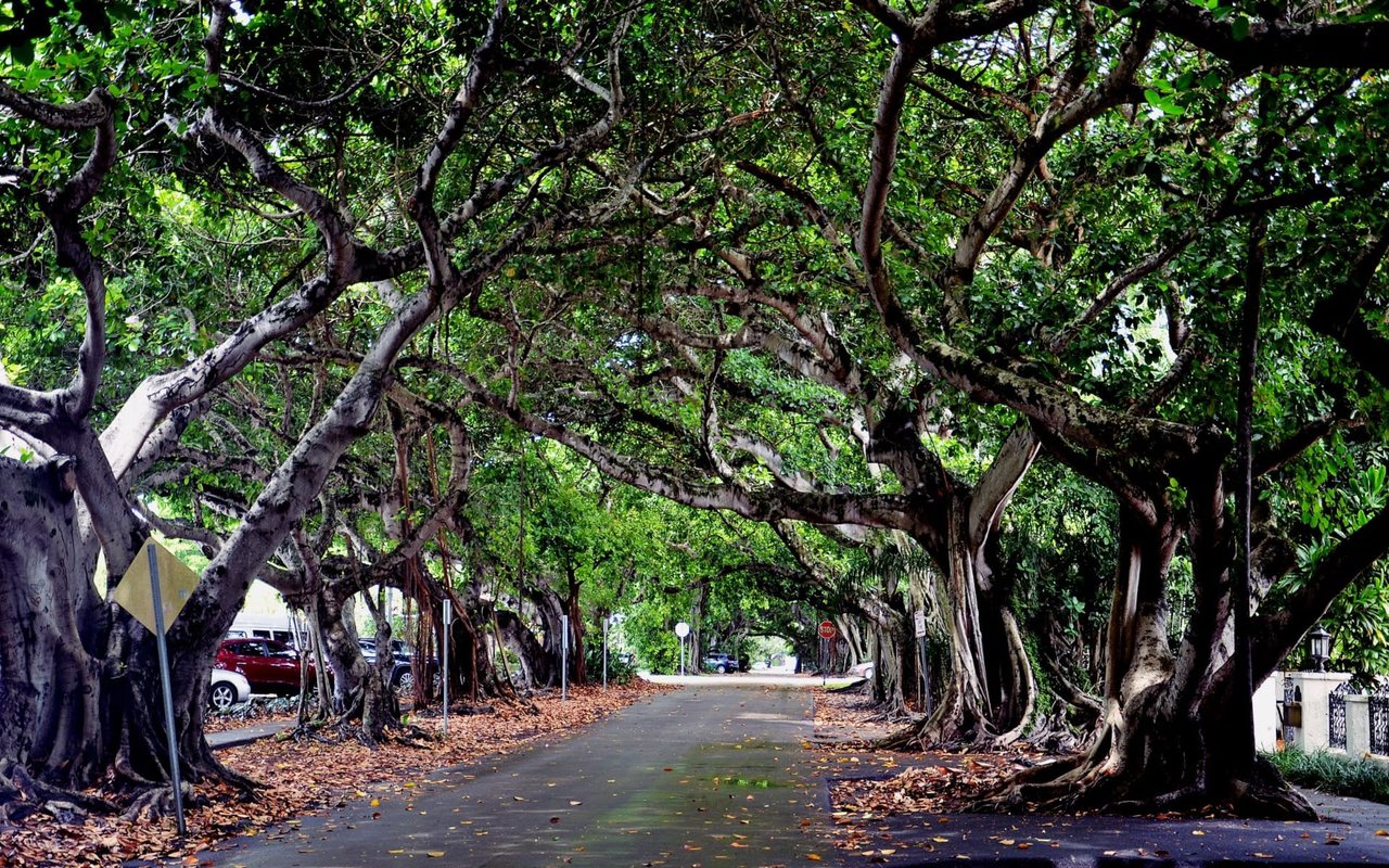 Coral Gables