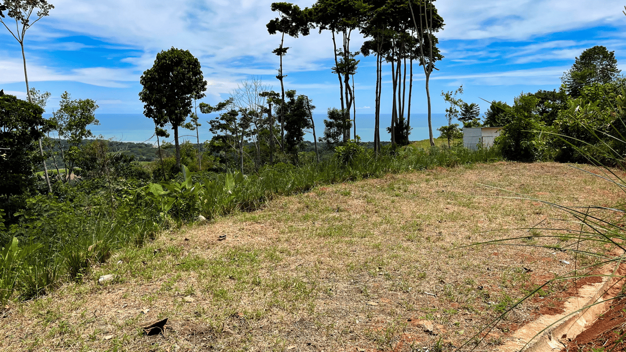 Front Ridge Land with Epic Ocean and Whale Tail Views