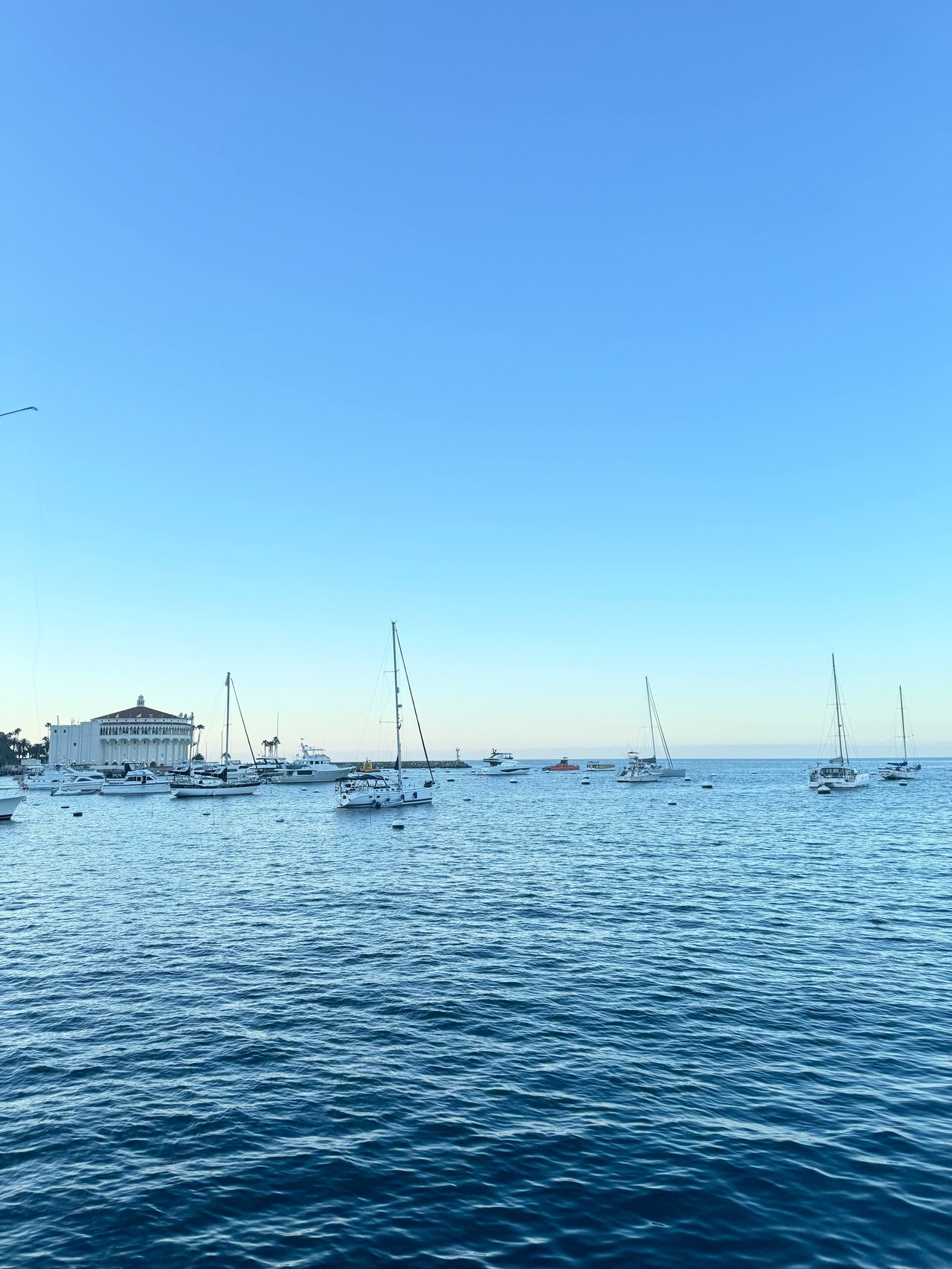 A Day Trip to Catalina Island