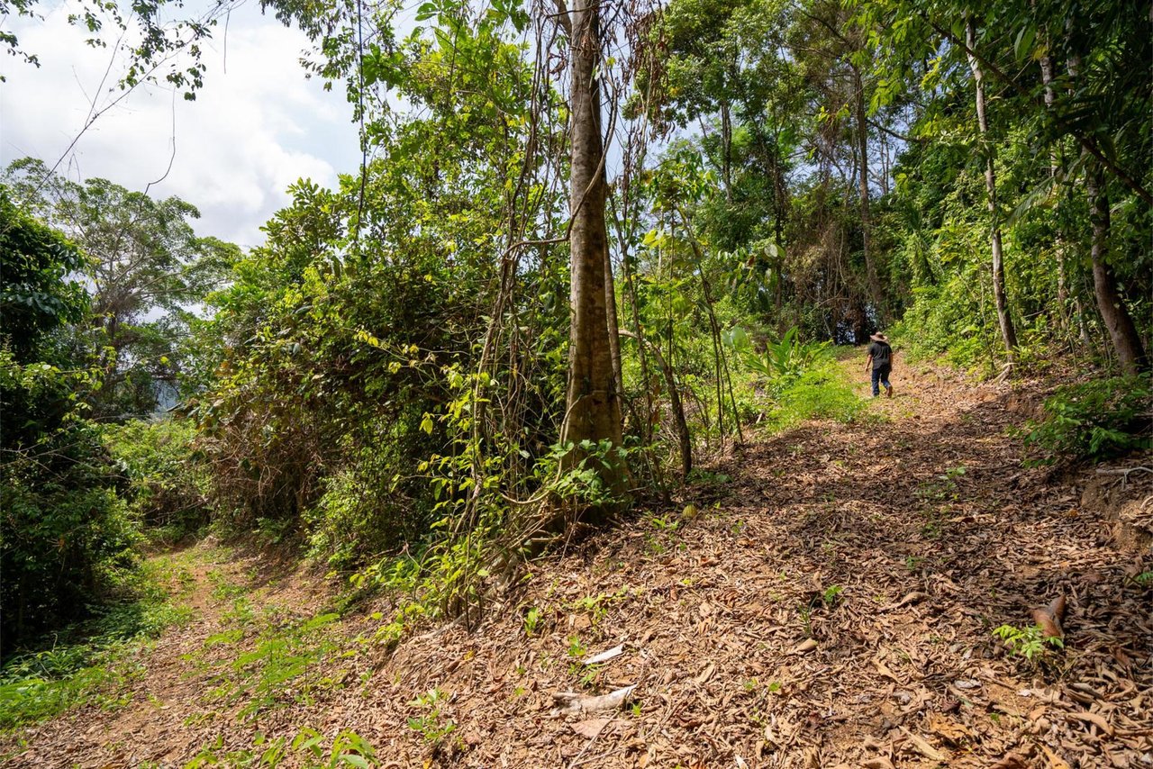 Private Ocean View Development Lot, Dominical, Puntarenas