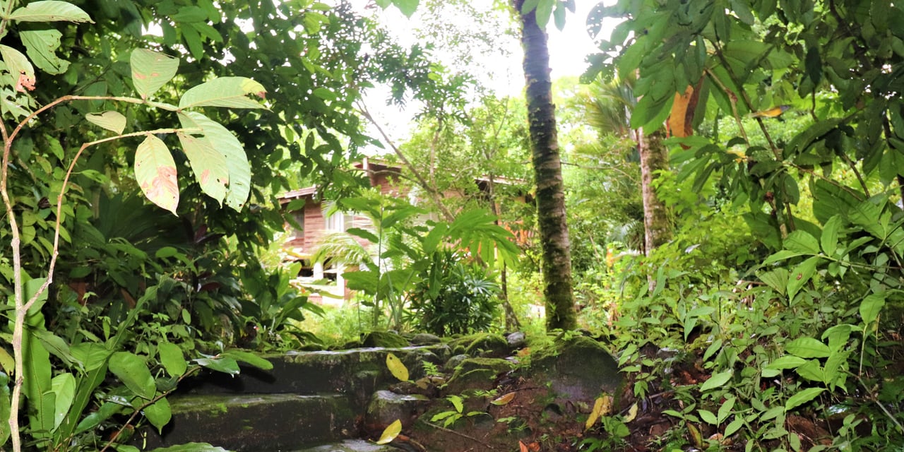 Riverfront Boutique Jungle Hotel, Ojochal, Puntarenas