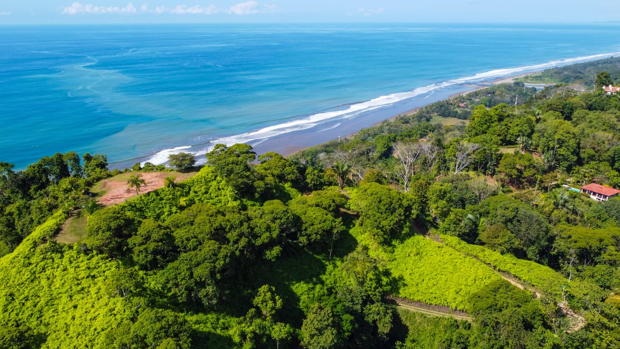 MANGO MANOR RIDGE PREMIER OCEAN VIEW PROPERTY IN DOMINICAL