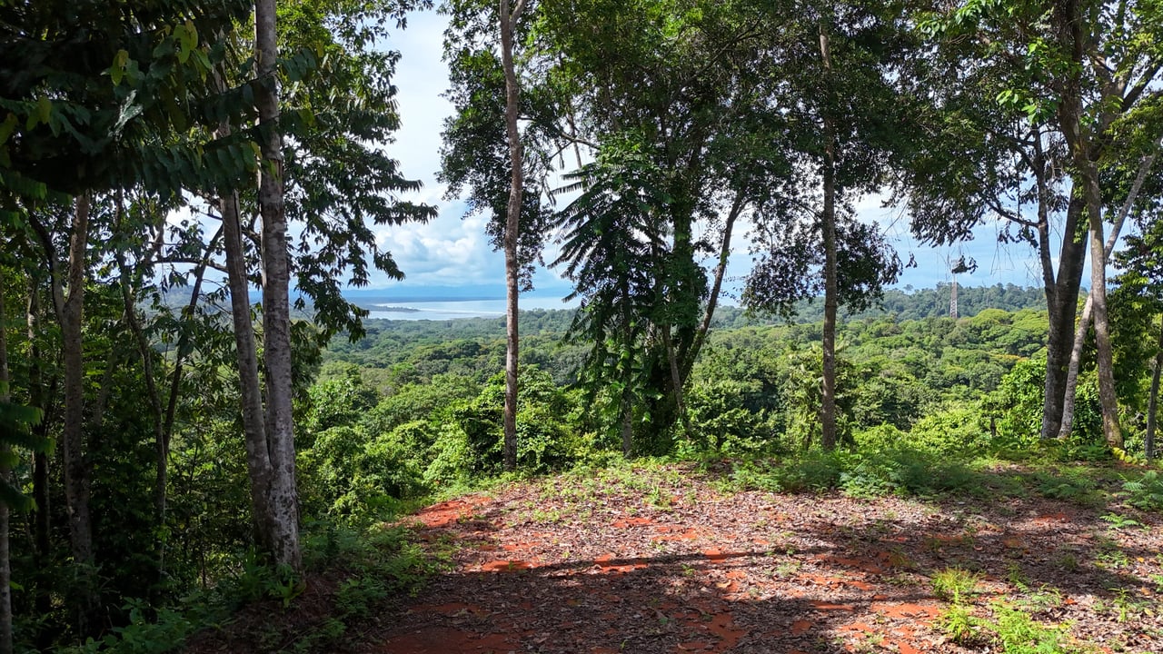 Secluded Paradise: 7.7 Acres with Breathtaking Ocean Views Along the Coast