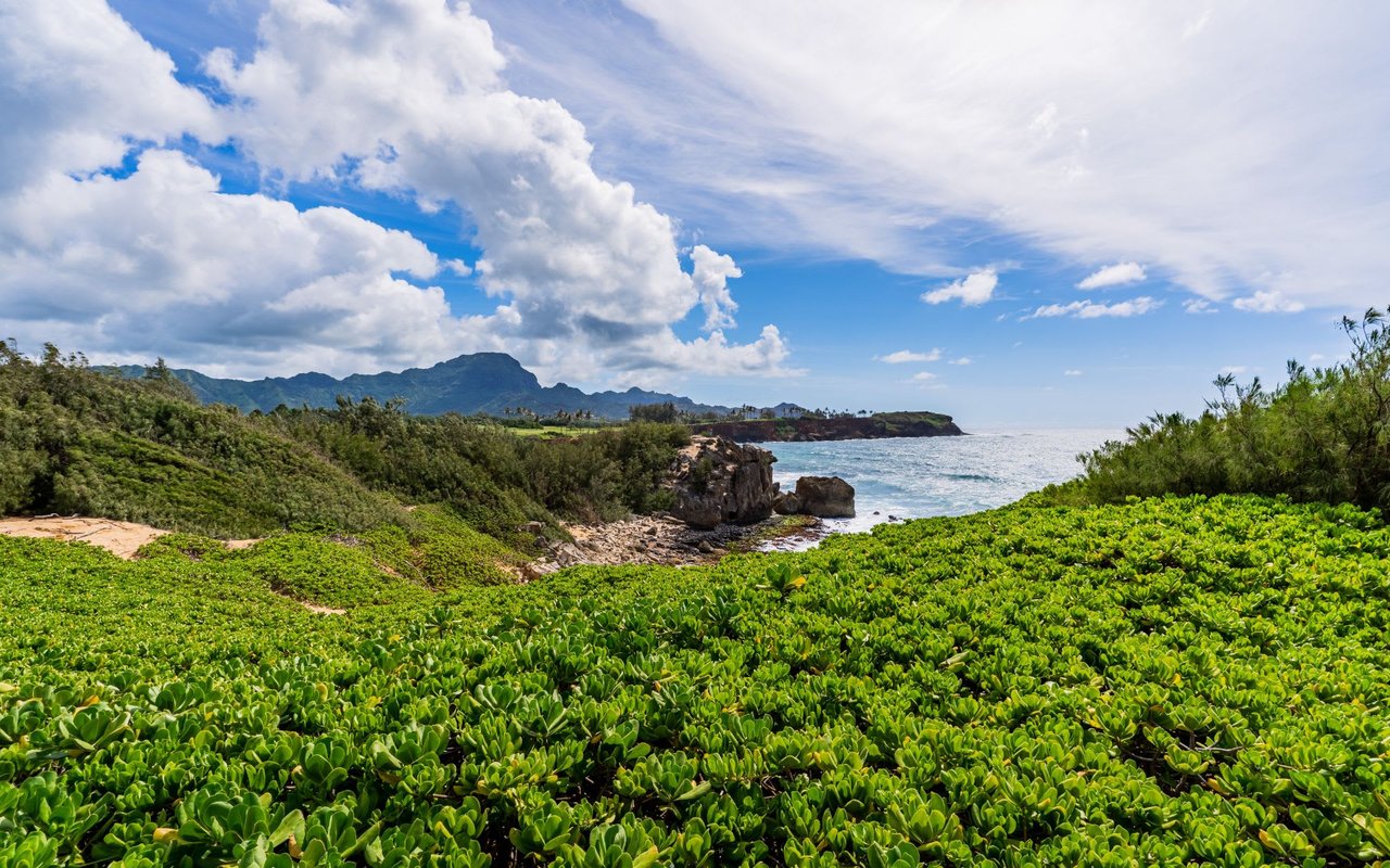 Whaler At Kaanapali | Market On A Roll