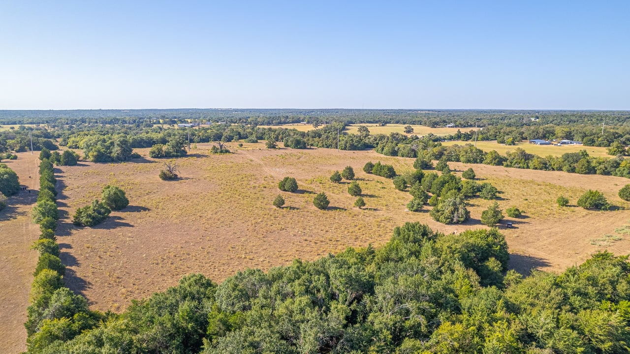 59.59 Acres in Brazos Valley region