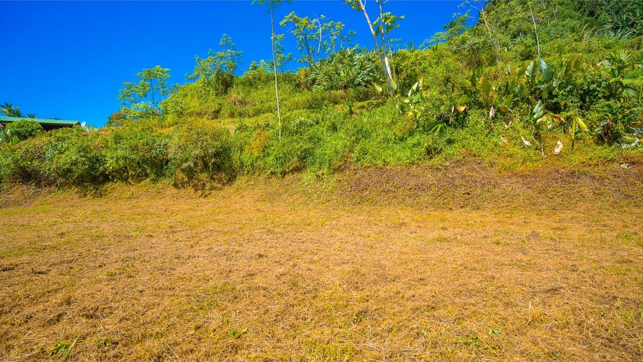 Flat Buildable Ocean View Lot, Ojochal, Puntarenas