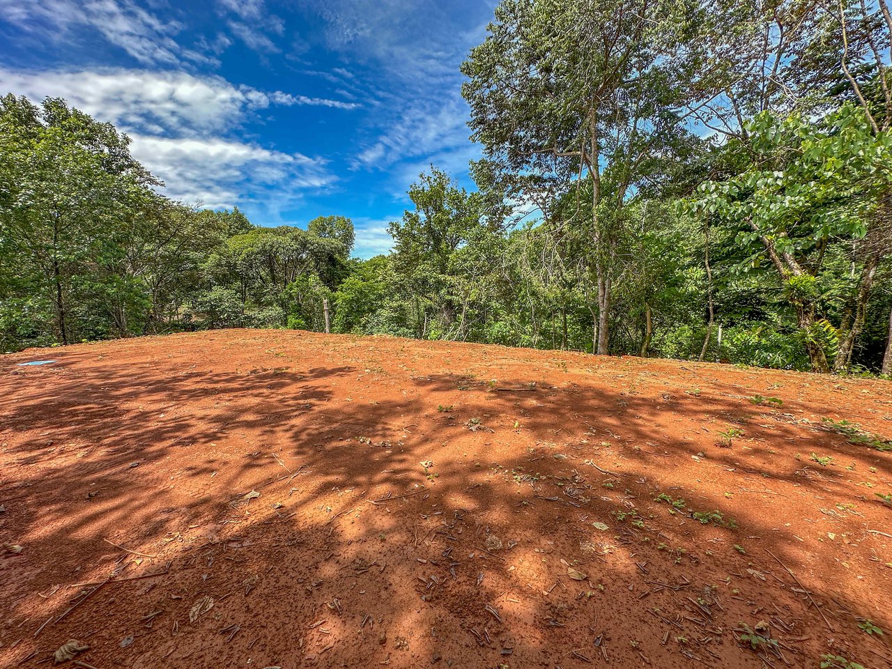 A jungle – and – creek border 1. 6 acre lot in a secure gated community, prepared and ready for your dream home!. 