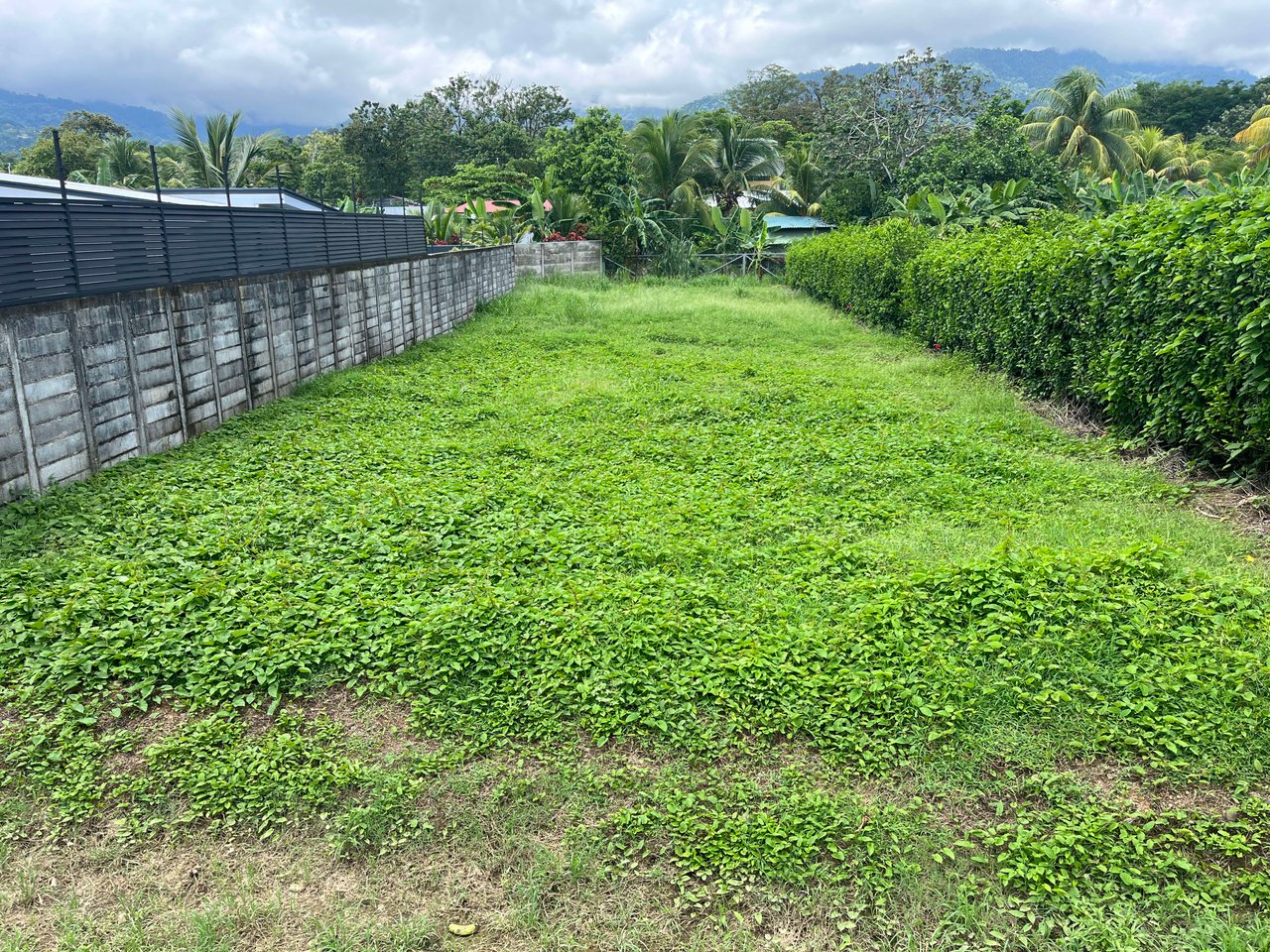 Great Lot Ready to Build, Uvita Whale Tail.