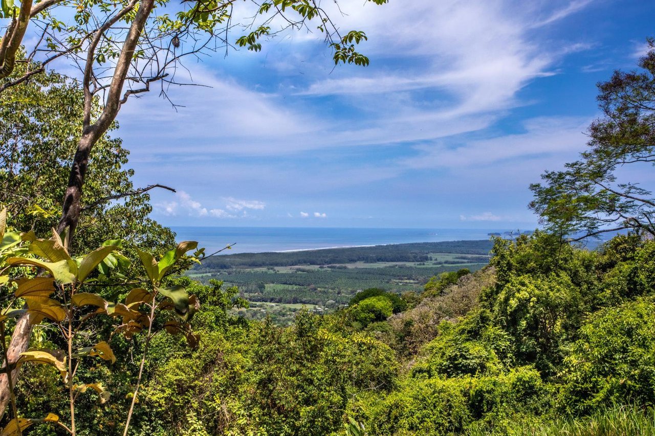 Incredible 7,000 Ft2 Ocean View Home With 200 Acre Reserve!