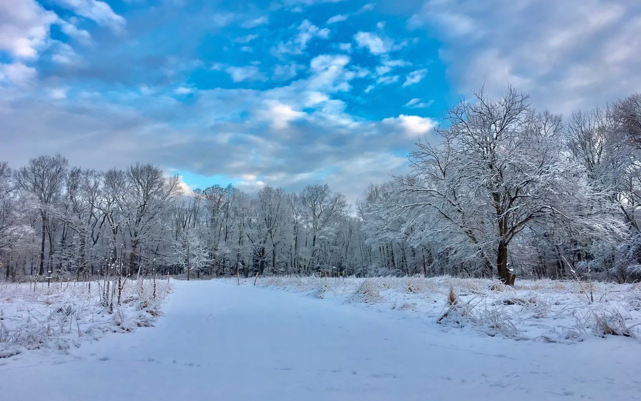 Everything You Need to Know About Moving to Dix Hills