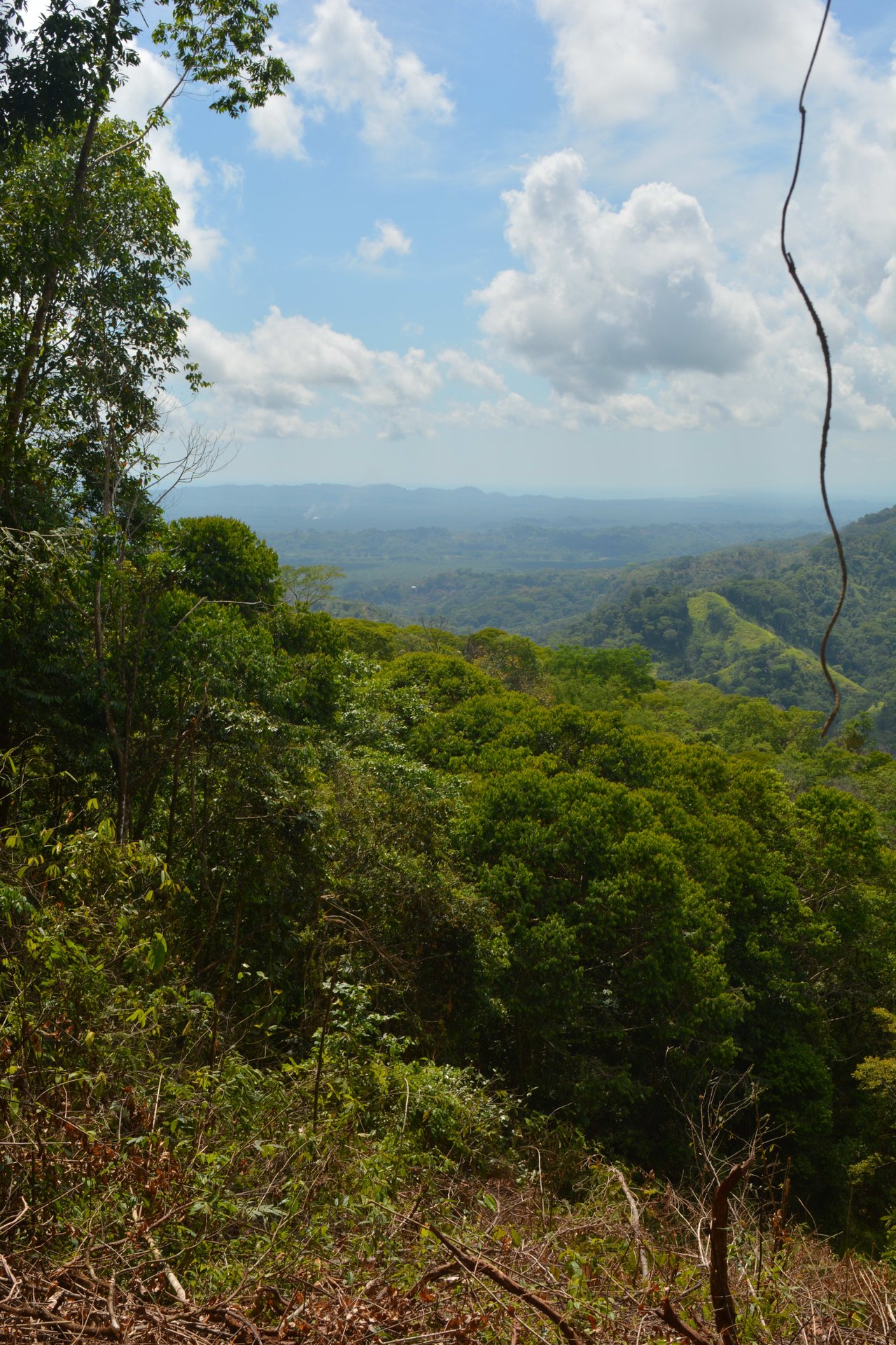 42 Acres With Waterfalls, Ocean Views & Multiple Building Sites Sliencio Ariba
