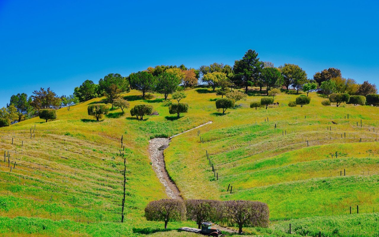 Santa Ynez Valley