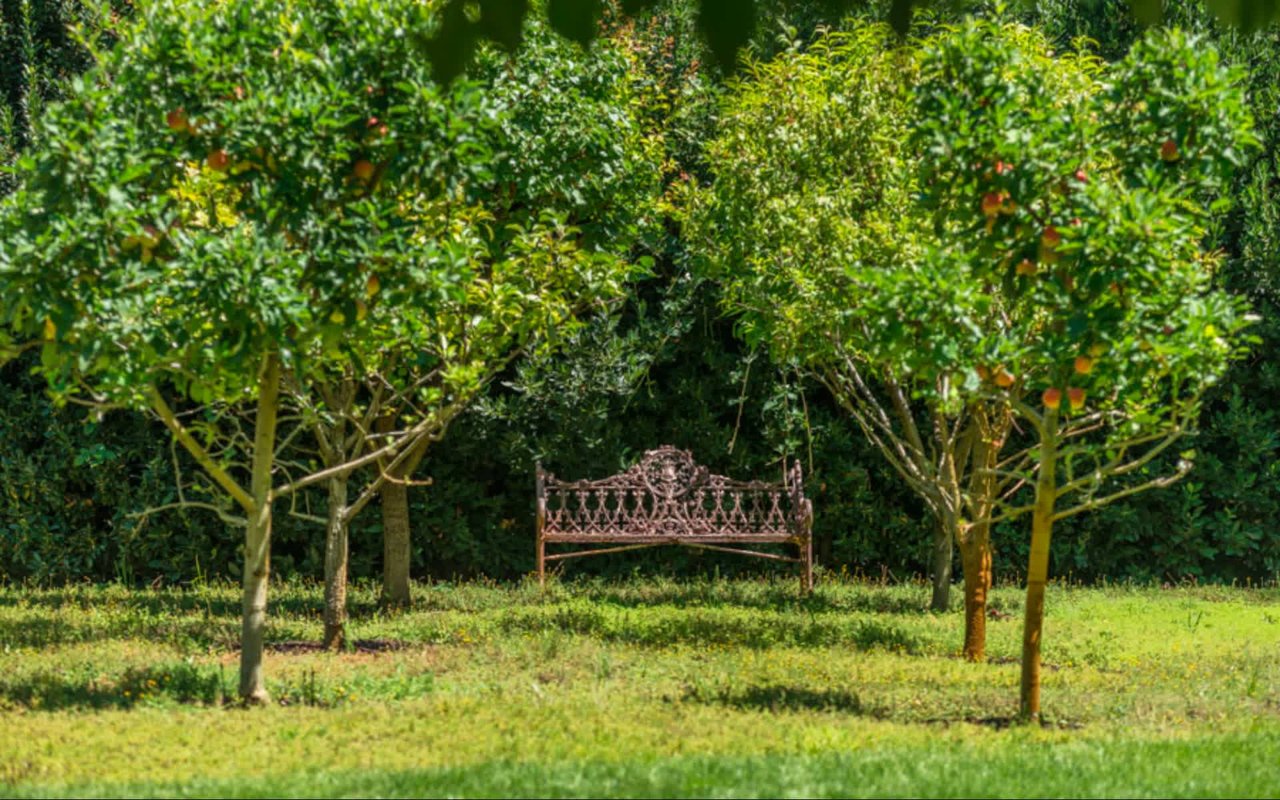 Meadowood Lane, St. Helena