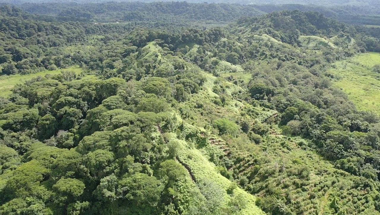 Sustainable Conservation Retreat, Osa, Puntarenas