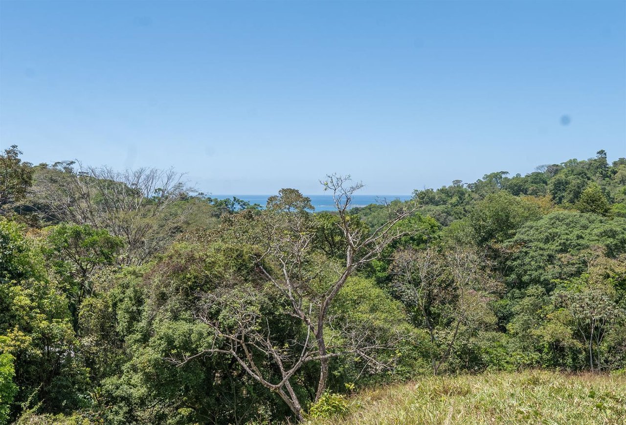 Prime Ocean and Whale tail View Development Land In Uvita