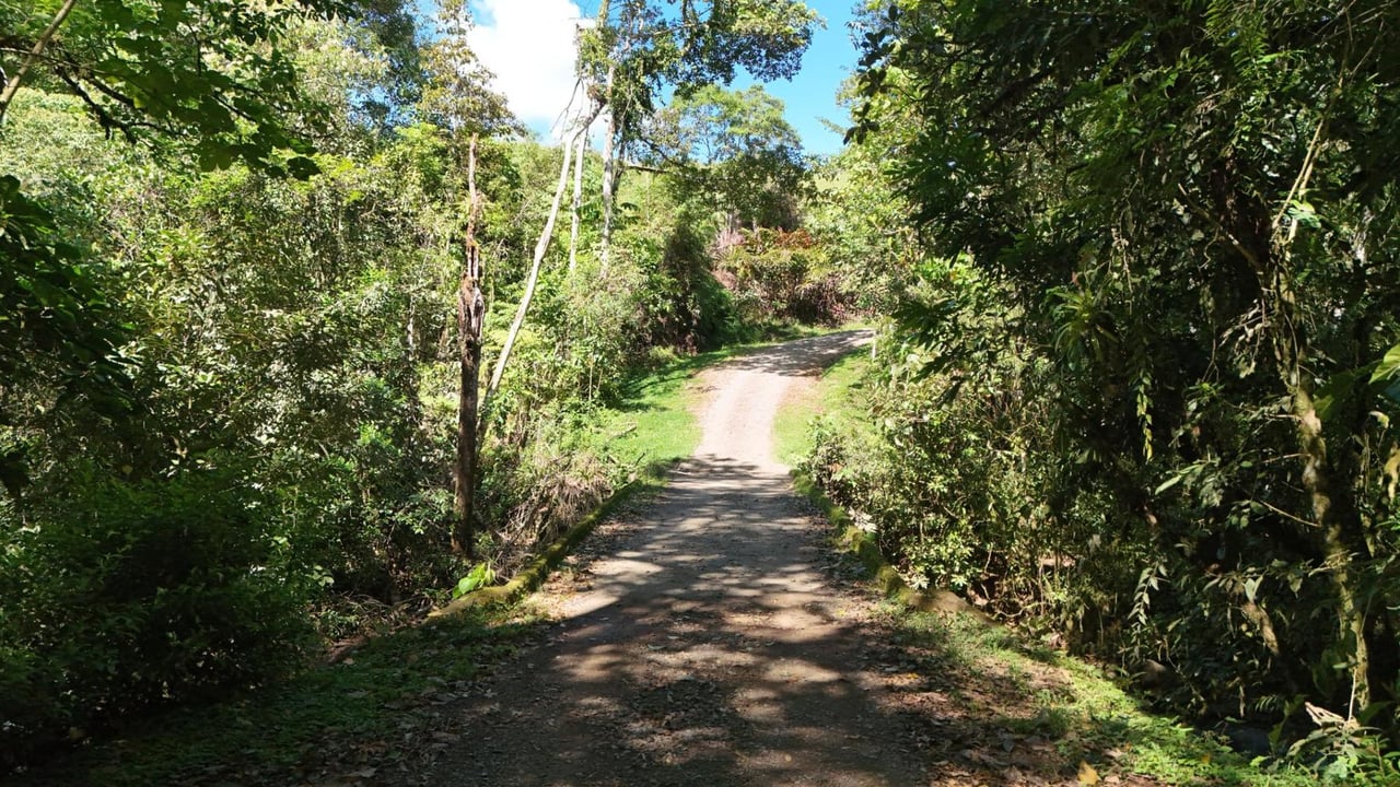 River and Waterfall Ranch, Perez Zeledon, San Jose