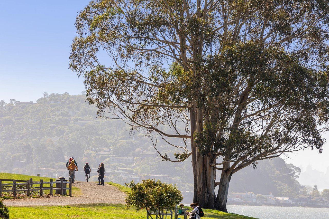 The February 2024 Update