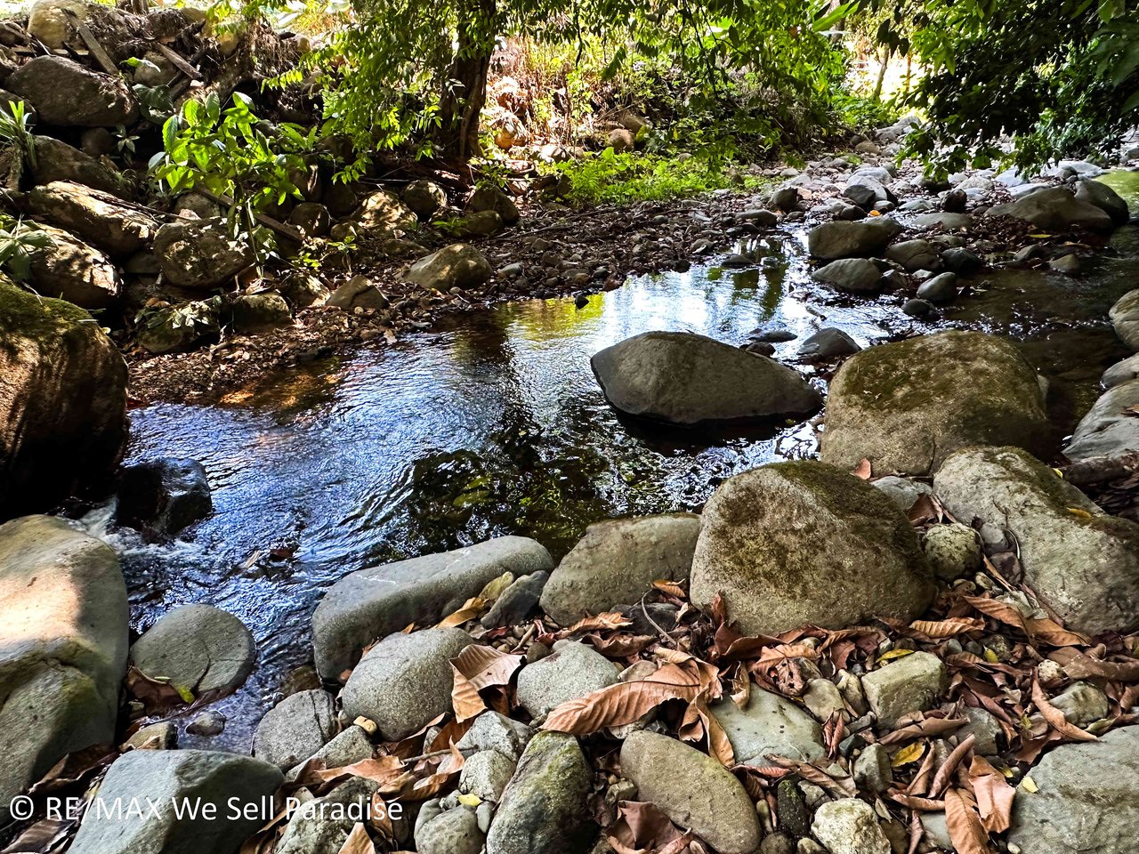 A large jungle-clad piece of land with mountain views, internal creek, and river frontage.