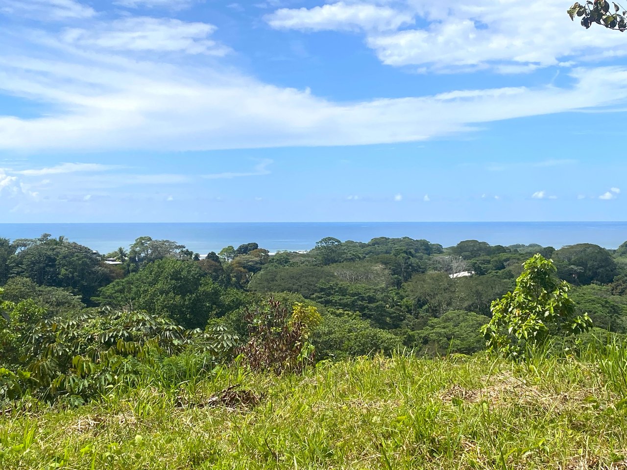 3.98 Acres, Ocean View Property In Finca Maranon With Legal Water! Ojochal 