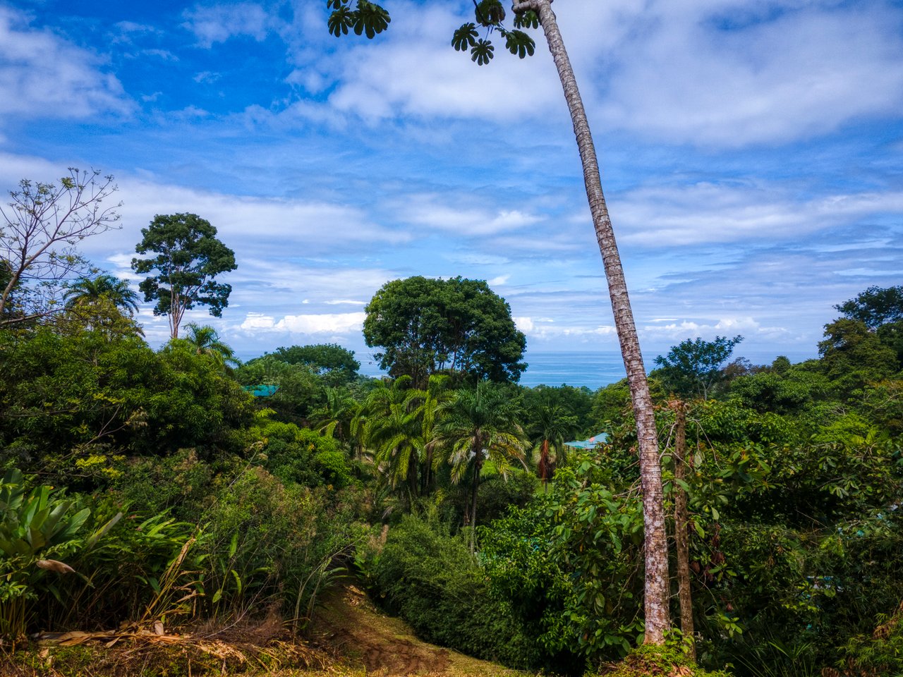 Legal Water Ocean View Lot, Dominical, Puntarenas