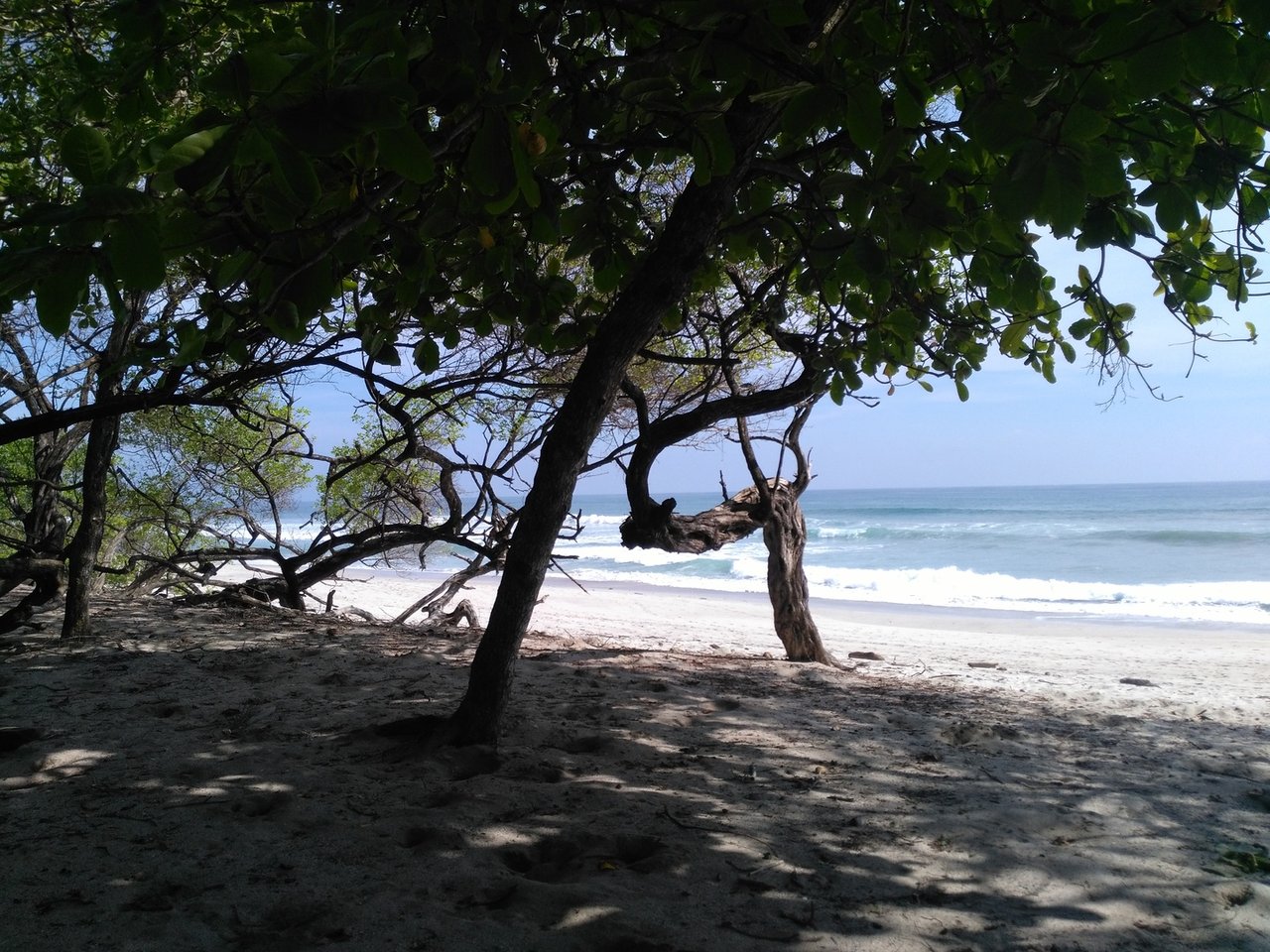 Private Secluded Beachfront Lot, Santa Teresa, Puntarenas