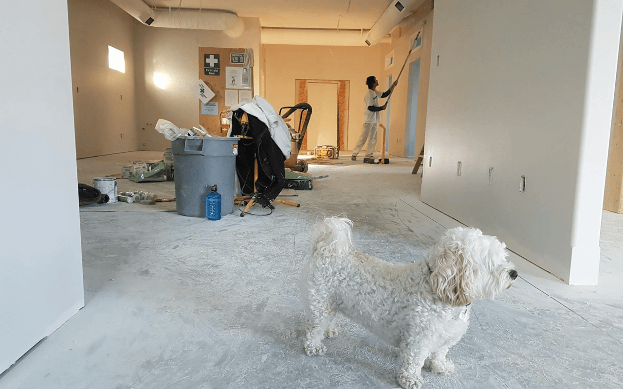 A small, fluffy white dog stands in the foreground of a large, unfinished room undergoing renovation.