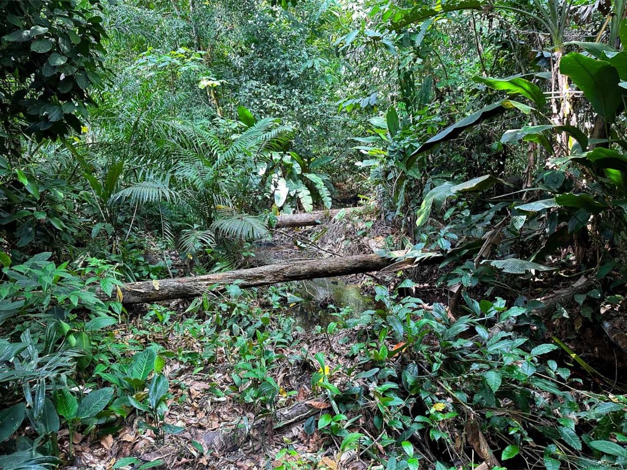 Oceanfront Highway Commercial Land, Ojochal, Puntarenas
