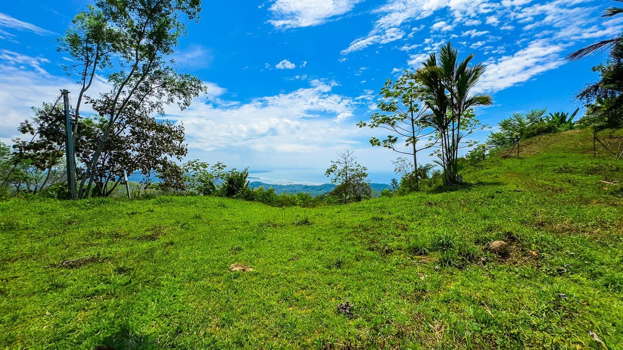 Ocean View Jungle Homesite, Ojochal, Puntarenas